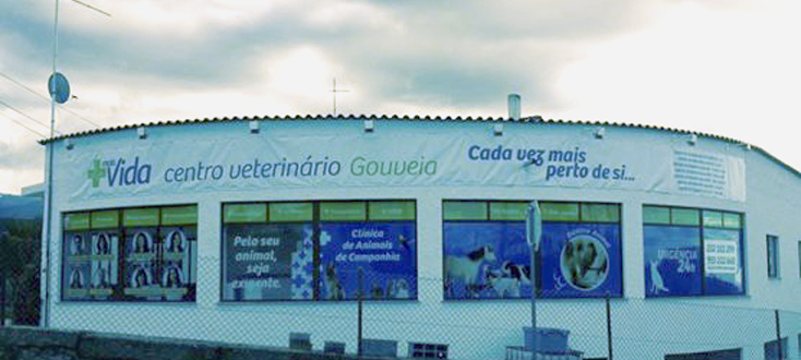 gouveia.png