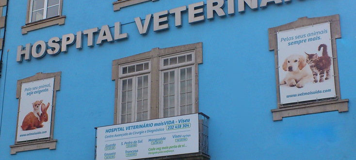 hospital_viseu.jpg