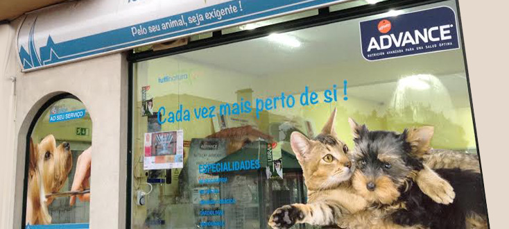 mangualde.jpg