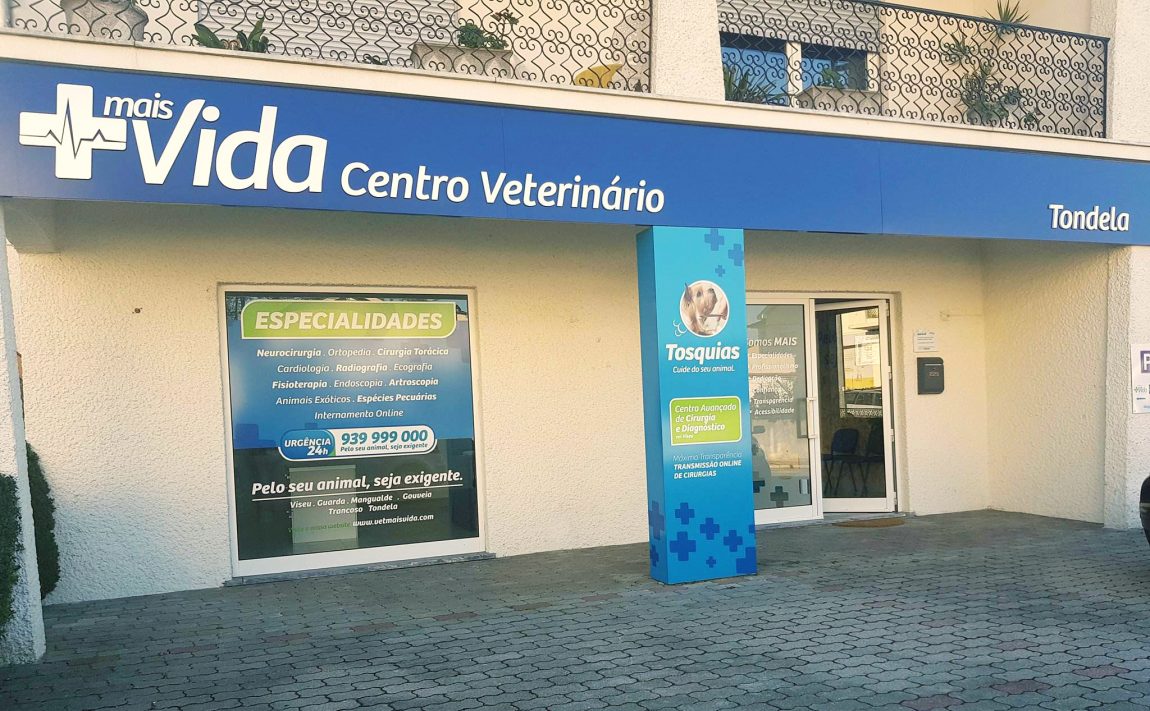 tondela.jpg